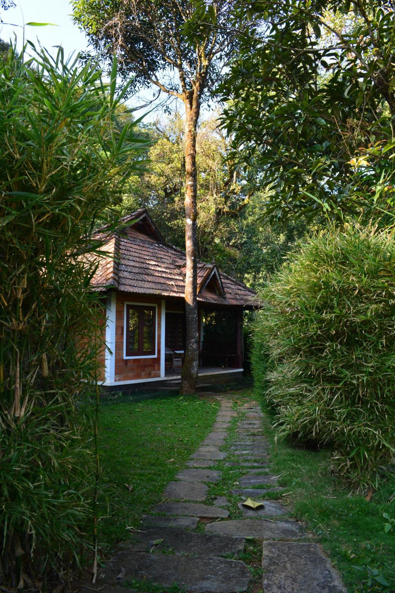 Misty Woods Resort Kakkabe 客房 照片