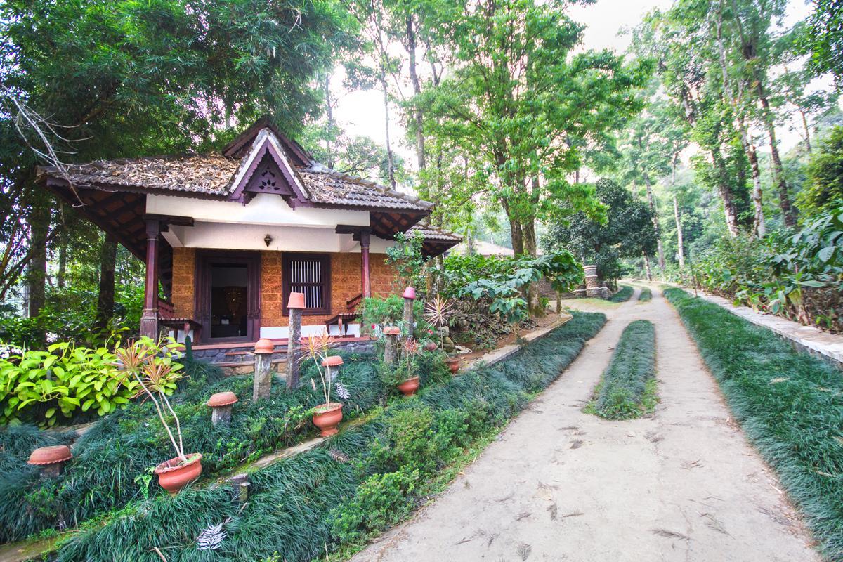 Misty Woods Resort Kakkabe 外观 照片