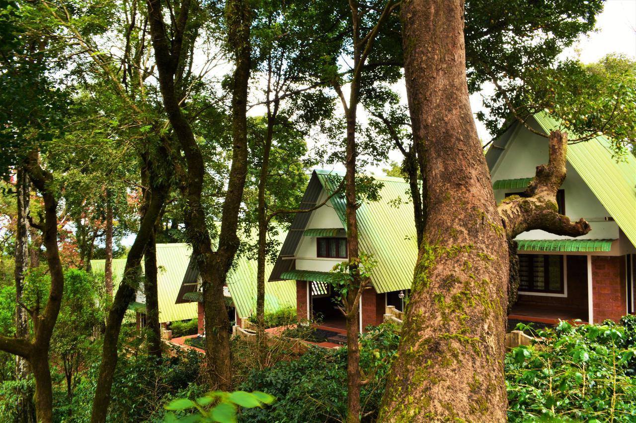 Misty Woods Resort Kakkabe 外观 照片
